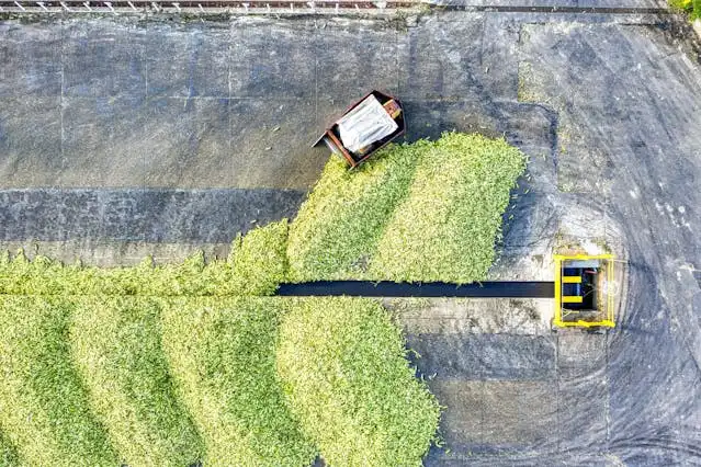 Inovasi Pengolahan Bahan hingga Penerapan Efektif di Era Pertanian Berkelanjutan