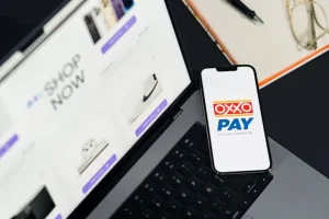 Begini Pentingnya Program APU PPT bagi Fintech & E-Commerce